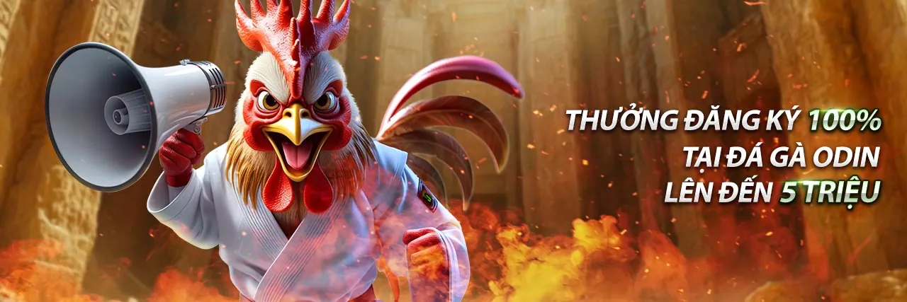 Hình ảnh hỗ trợ khách hàng của Trực Tiếp Gà Thomo 67