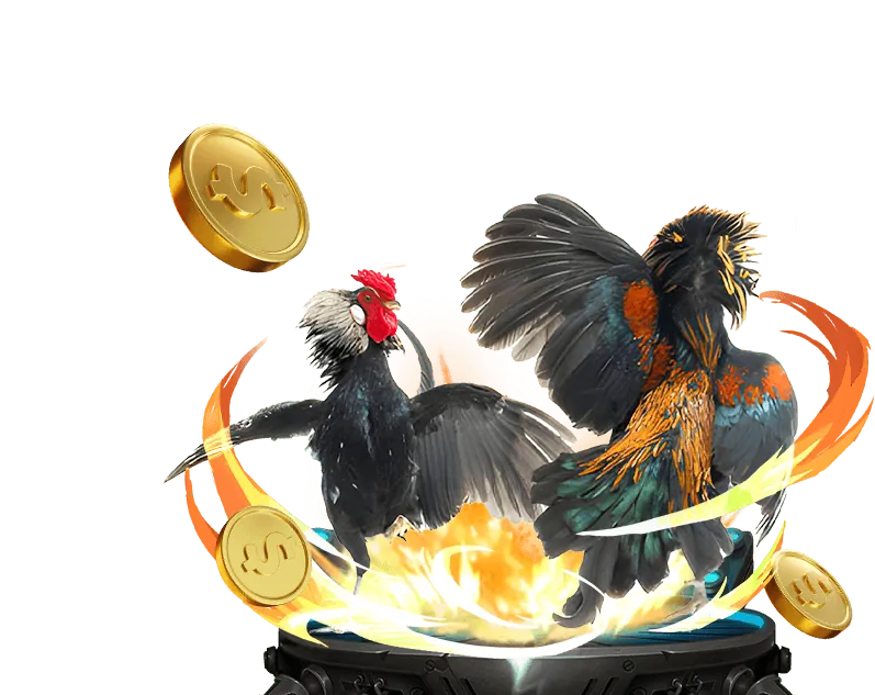 Mẹo cá cược đá gà Thomo 67 hiệu quả